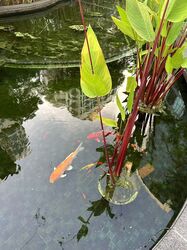 Water Place (D15), Condominium #491938841